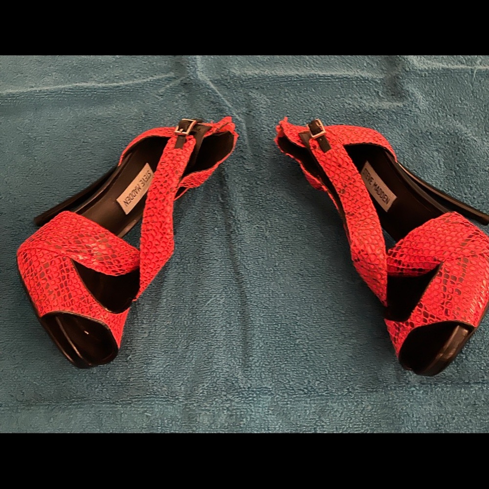 Steve Madden